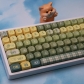 Self-discipline 104+27 PBT Keycaps Set Cherry / QX3 Profile for MX Switches Mechanical Gaming Keyboard